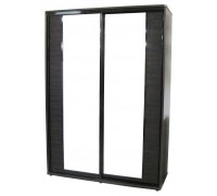 Шкаф-купе Рио 2-х дверный 1,6