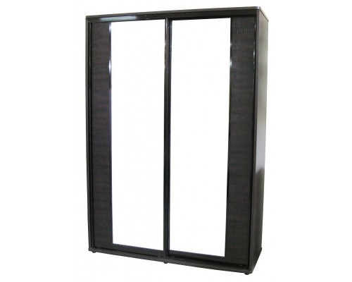 Шкаф-купе Рио 2-х дверный 1,6