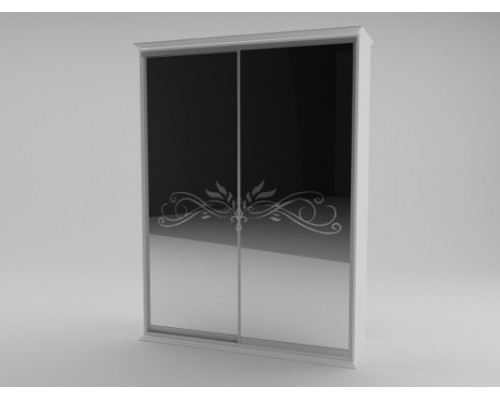 Шкаф-купе Инесса 2-х дв