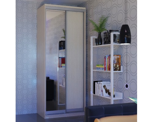 Шкаф-купе  2-х дверный Ф 104