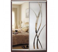 Шкаф-купе  2-х дверный Ф 116-2.2-60