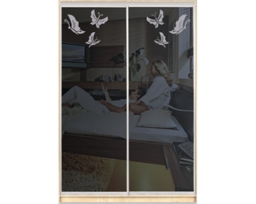 Шкаф-купе Стандарт 2-х дверный с рисунком фотопечать