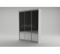 Шкаф-купе Инесса 3-х дв