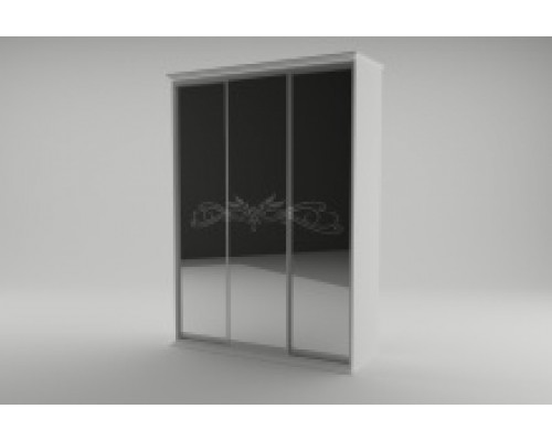 Шкаф-купе Инесса 3-х дв