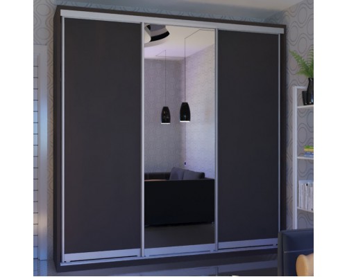 Шкаф-купе 3-х дверный ФН 244