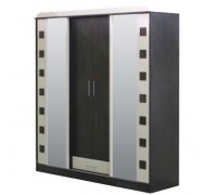 Шкаф-купе  София 3-х дверный