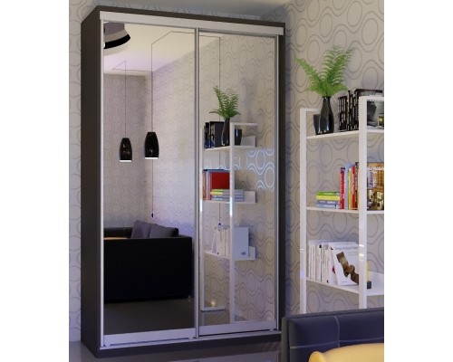 Шкаф-купе  2-х дверный Ф 154