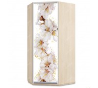 Шкаф-купе угловой ВУ1200-1200-2500