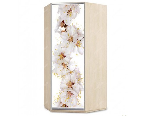 Шкаф-купе угловой ВУ1200-1200-2500