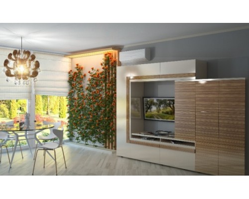 Стенка Зебрано